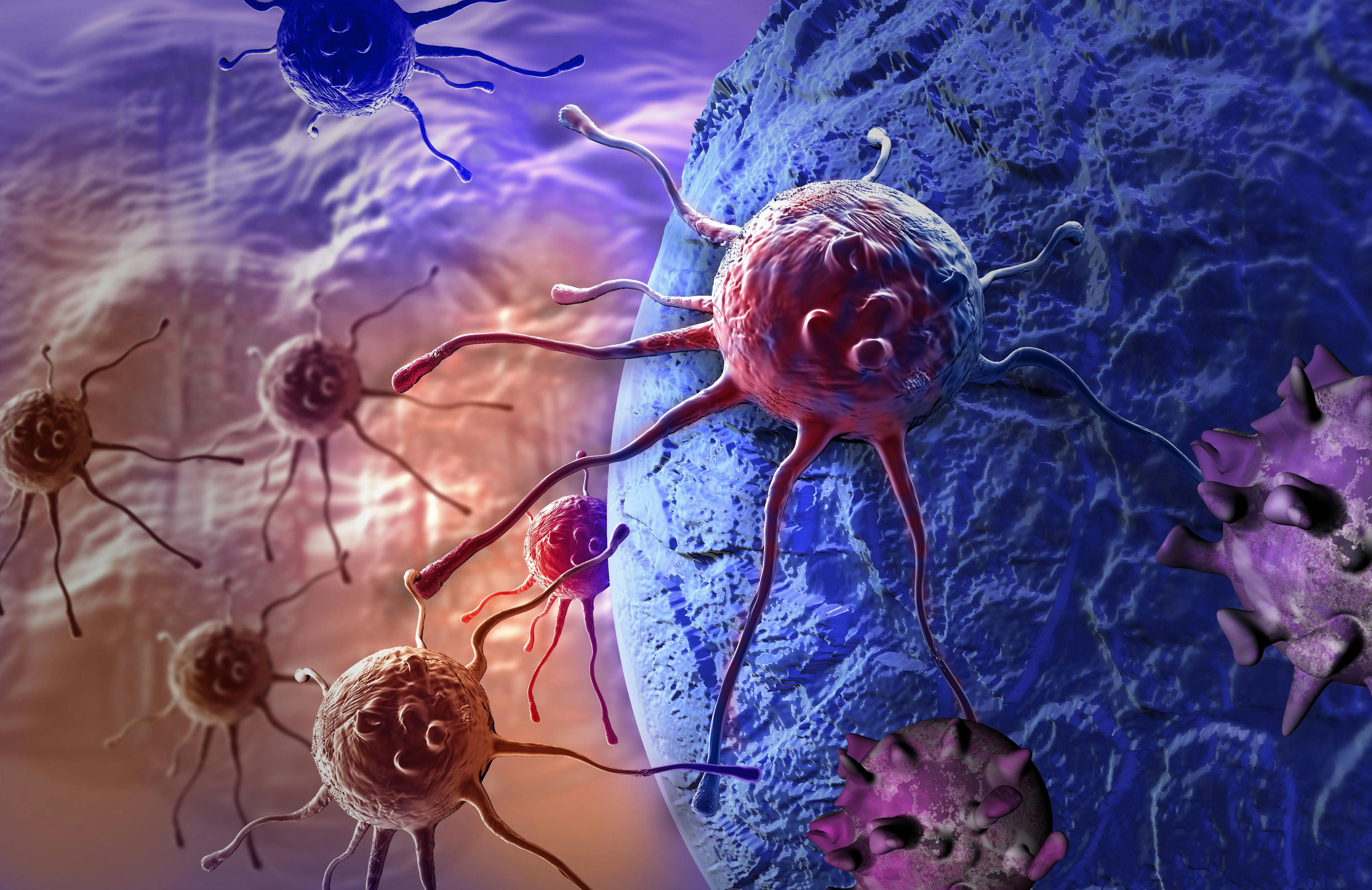 Novel Chemo/NK Cell Therapy Combination Shows Efficacy in Pancreatic Cancer