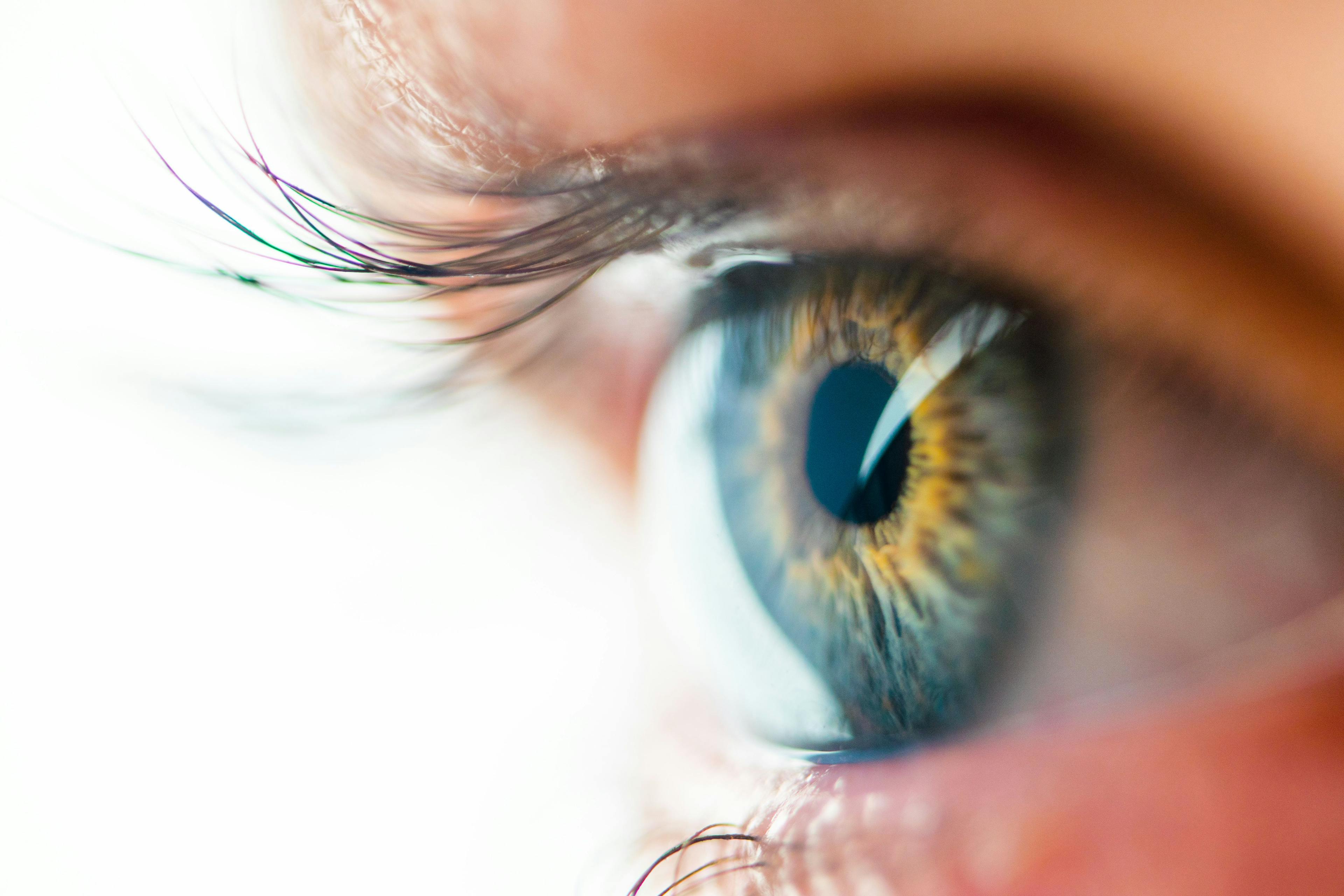 Dry AMD Gene Therapy Shows Promise in Preclinical Study