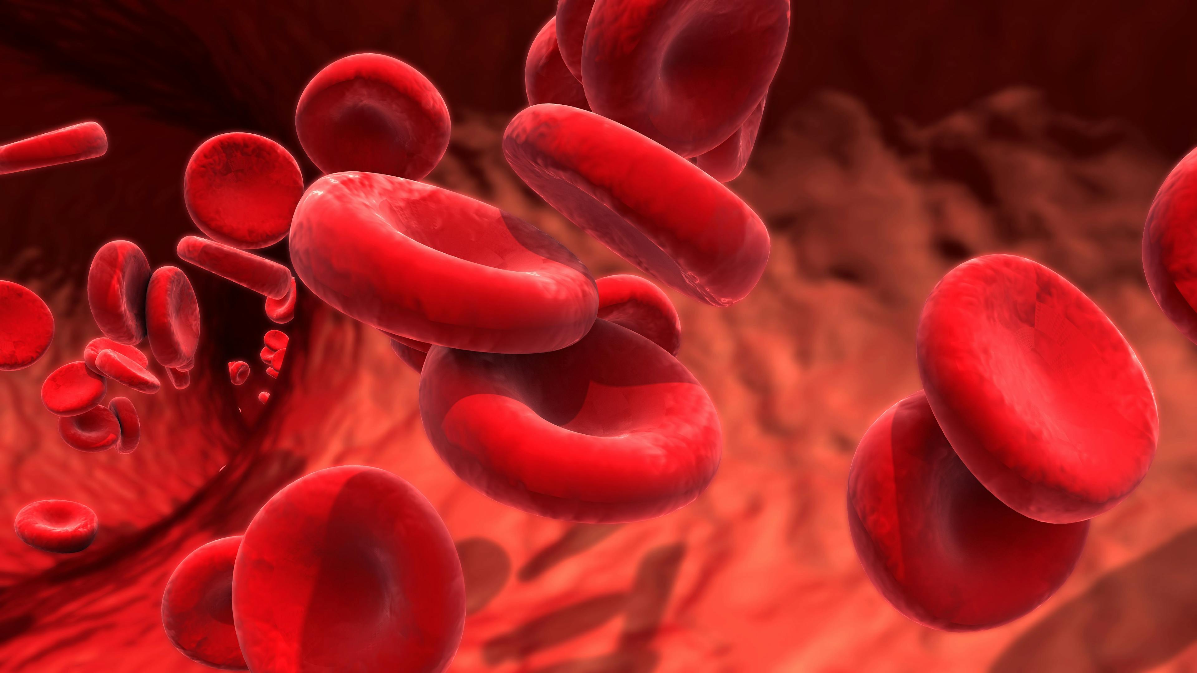 Beti-Cel Confers Durable Efficacy, Improved Quality of Life in Beta-Thalassemia  
