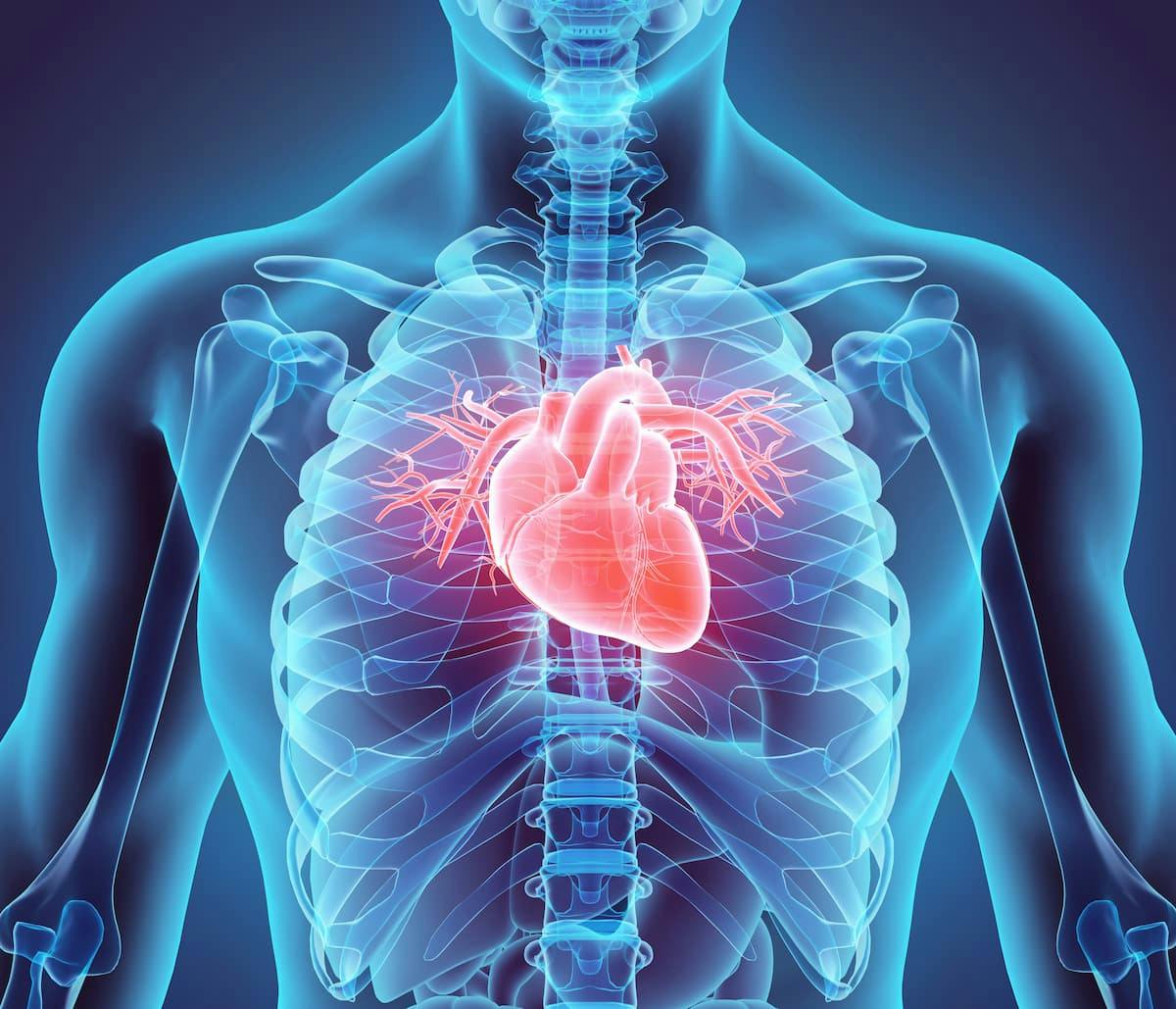 BioCardia's CardiAMP Heart Failure Cell Therapy Faces Uncertain Future