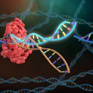 CRISPR Gene Therapy Reduces TTR in Patients With ATTR Amyloidosis 