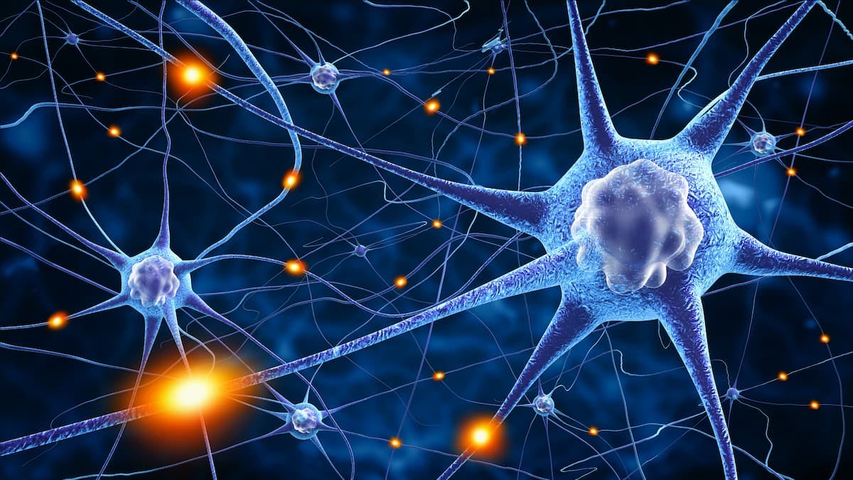CK0803 Treg Therapy Seems Safe for ALS, Trial Set to Treat Second Cohort
