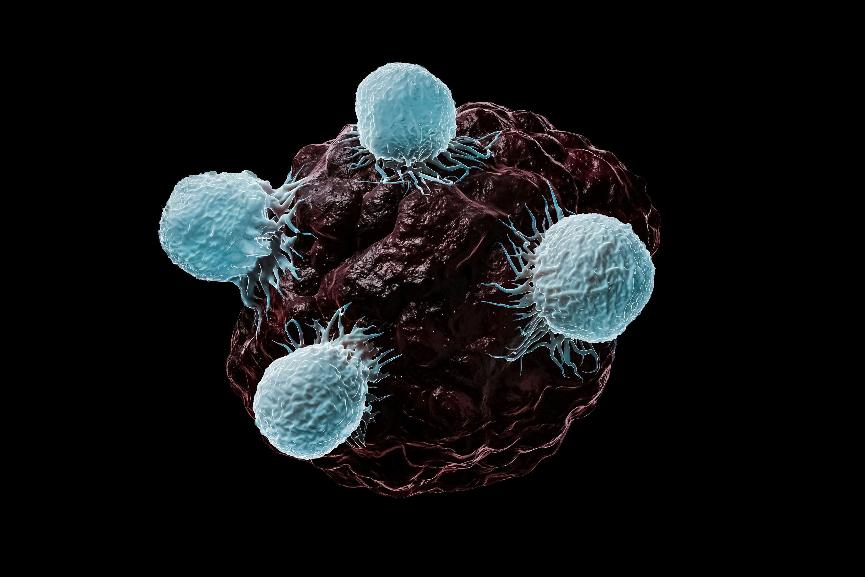 New CAR-T Technology Being Explored in Phase 1 for Solid Tumors